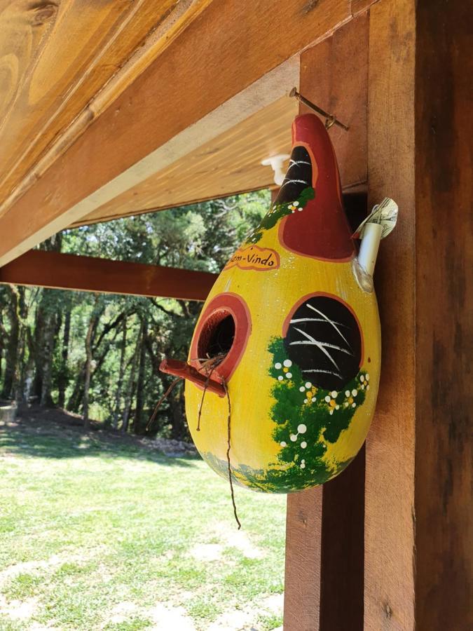 Sitio Recanto Feliz グラマド エクステリア 写真
