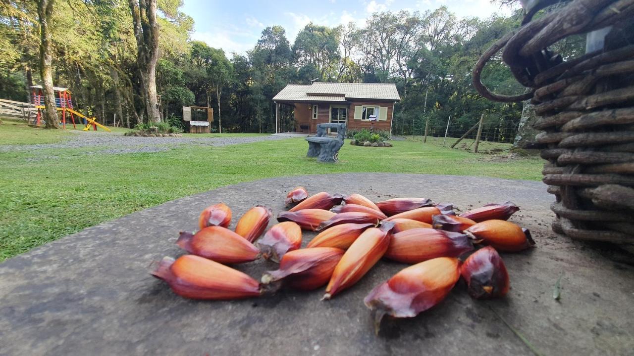 Sitio Recanto Feliz グラマド エクステリア 写真